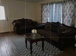 Living room with wood finished floors