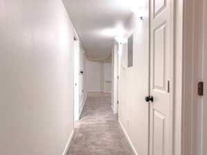 Hallway with a textured wall, baseboards, a textured ceiling, and light colored carpet