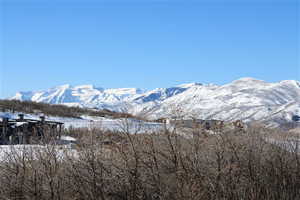 Property view of mountains