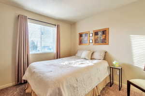 Secondary bedroom with carpet flooring and large window