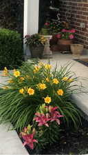 Front porch area