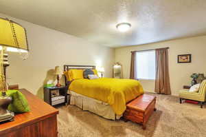 Carpeted primary bedroom