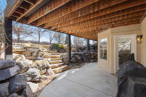 Walkout  patio / terrace