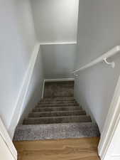 Stairway with carpet