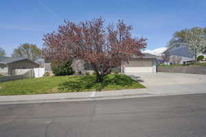 View of property hidden behind natural elements featuring a front yard, an attached garage, fence, and driveway