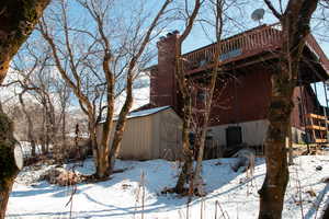 View of wooded backyard.