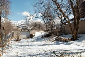 View of backyard from NW corner lookin East