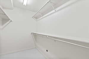 Walk in closet of storage or gym