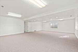 basement great room, great space for games or potential bedrooms