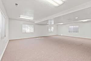 basement great room, great space for games or potential bedrooms