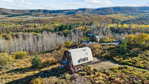 Bird's eye view featuring a mountain view and a forest view