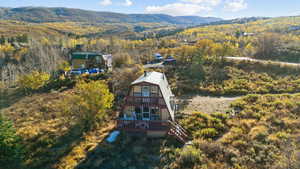 Bird's eye view with a forest view and a mountain view