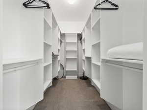 Spacious closet with dark carpet