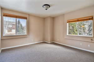 Unfurnished room featuring carpet, baseboards, and a wealth of natural light