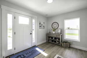 Foyer entrance with light wood finished floors, baseboards, and a wealth of natural light