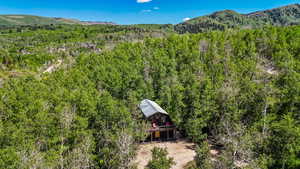 Aerial view of property and surrounding area with a heavily wooded area and a mountain backdrop