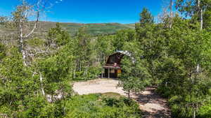 Mountain view with a forest