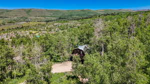 View of mountain background featuring a heavily wooded area