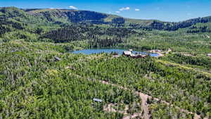 Drone / aerial view of a heavily wooded area and a water and mountain view