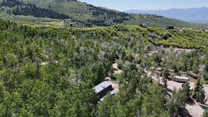 Drone / aerial view of a heavily wooded area and mountains