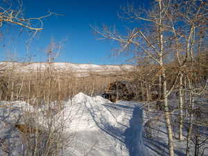 View of mountain feature