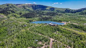 Drone / aerial view of a forest and a water and mountain view