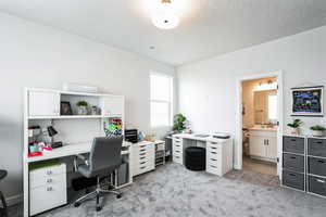 Carpeted office with a sink, visible vents, and a textured ceiling