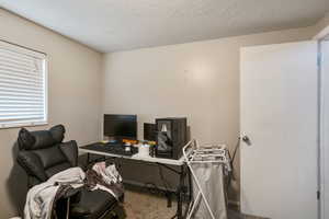 Office with a textured ceiling and carpet flooring