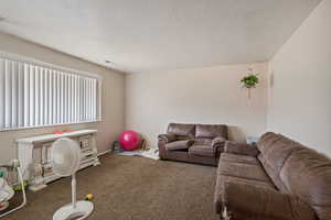 Carpeted living room with visible vents and a textured ceiling