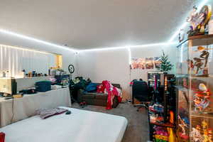 Carpeted bedroom featuring a textured ceiling