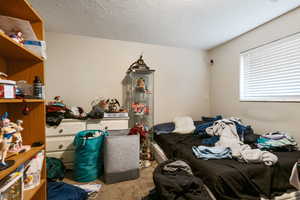 Bedroom featuring carpet floors and a textured ceiling