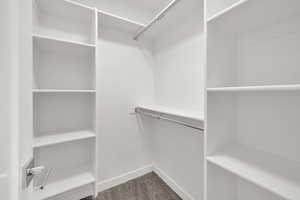 Master Suite Walk in closet with carpet