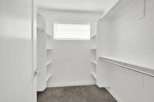 Master Suite Walk in closet with carpet