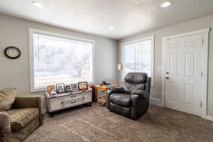 Living area with a textured ceiling, baseboards, carpet flooring, and recessed lighting