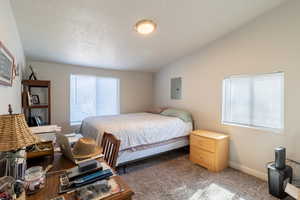 Carpeted bedroom with lofted ceiling, electric panel, a textured ceiling, and baseboards