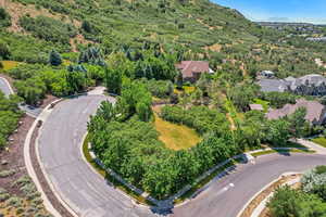 Aerial perspective of suburban area featuring a mountainous background