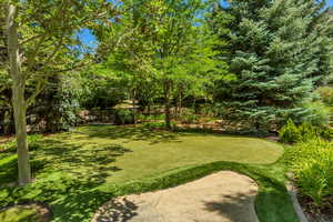 View of yard featuring a putting area