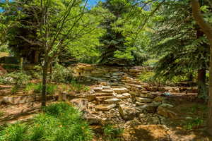 View of undeveloped land