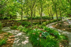 Surrounding community