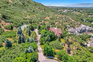 Aerial view of residential area with a mountain backdrop