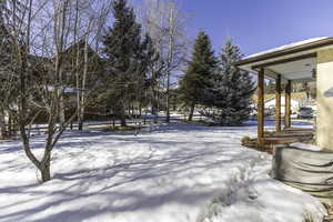 Photo 41 of 161 W SWISS FARM WAY #9