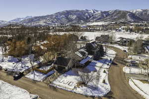 Photo 32 of 161 W SWISS FARM WAY #9