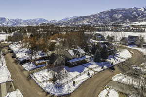 Photo 31 of 161 W SWISS FARM WAY #9