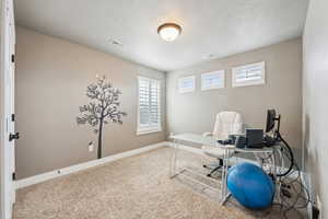 Office featuring visible vents, baseboards, carpet, and a textured ceiling