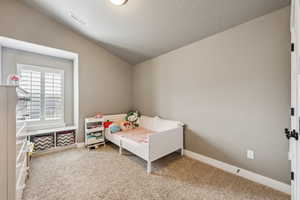 Carpeted bedroom featuring visible vents, baseboards, and lofted ceiling