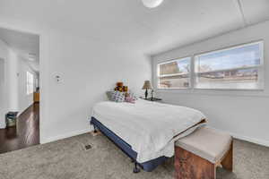 Bedroom featuring visible vents, baseboards, and carpet floors