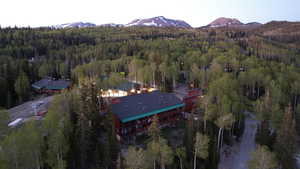 Aerial view featuring a mountain view and a wooded view