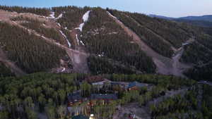 Drone / aerial view featuring a mountain view and a view of trees