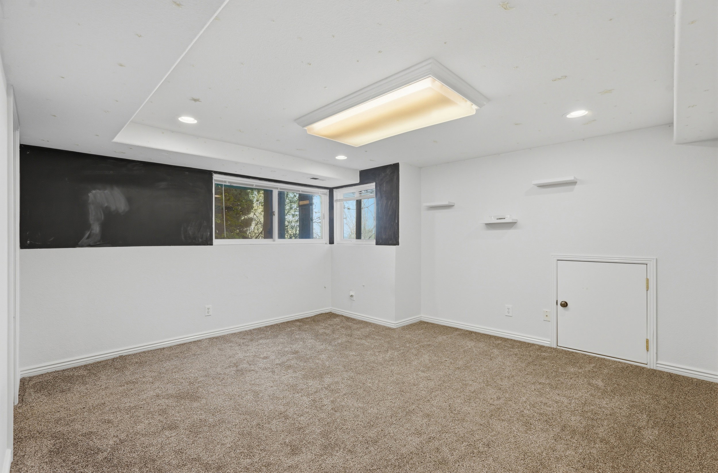 Flex space in basement