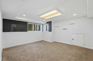 Flex space in basement